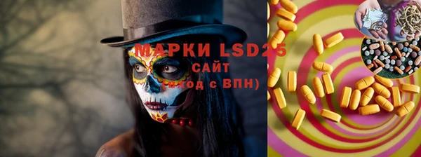 индика Абаза