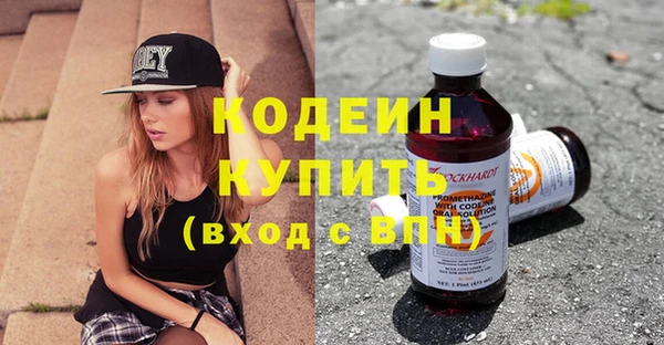 индика Абаза