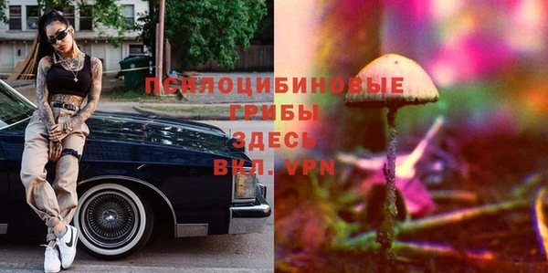 спайс Алексеевка