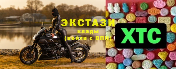 индика Абаза