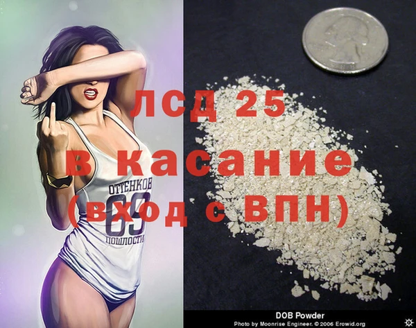 индика Абаза