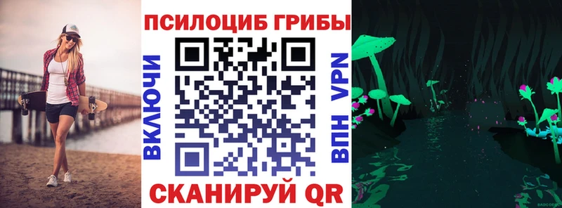 закладки  Югорск  Псилоцибиновые грибы Cubensis 