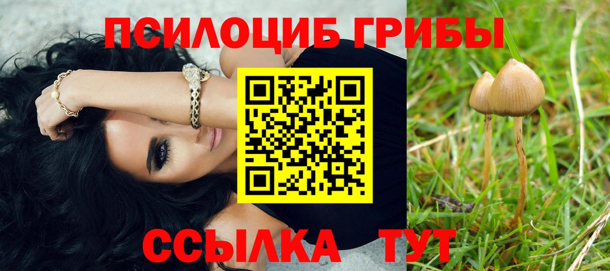 Псилоцибиновые грибы GOLDEN TEACHER  купить наркотик  Югорск  Вход с VPN 